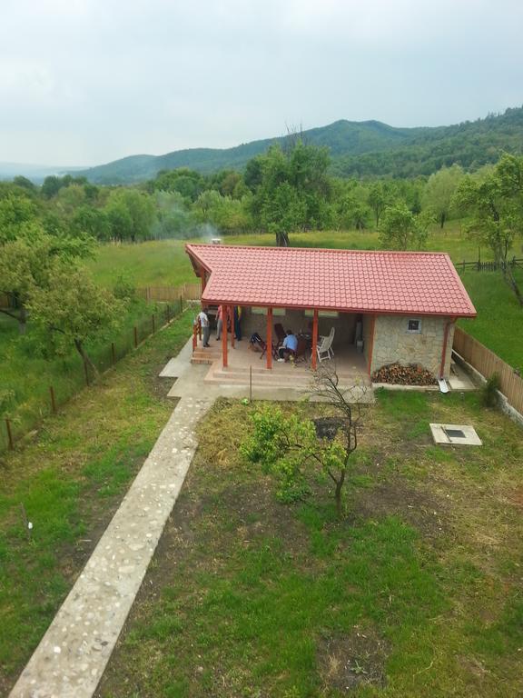 Pensiunea Agroturistica Ioana Bradulet Εξωτερικό φωτογραφία