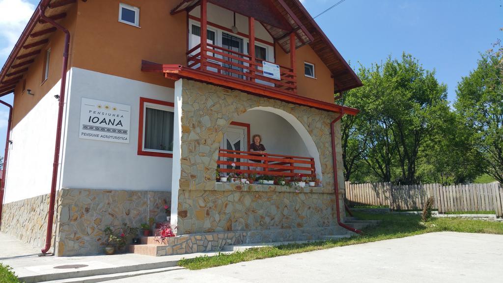 Pensiunea Agroturistica Ioana Bradulet Εξωτερικό φωτογραφία
