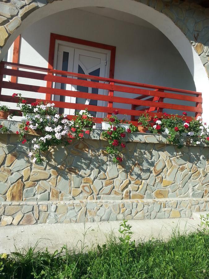 Pensiunea Agroturistica Ioana Bradulet Εξωτερικό φωτογραφία