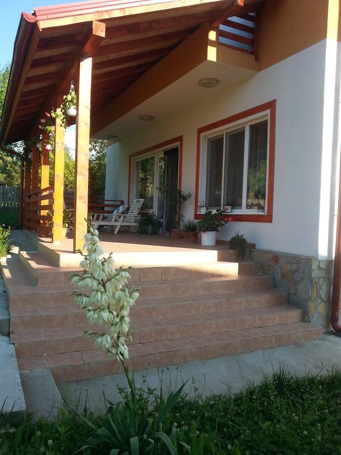 Pensiunea Agroturistica Ioana Bradulet Εξωτερικό φωτογραφία