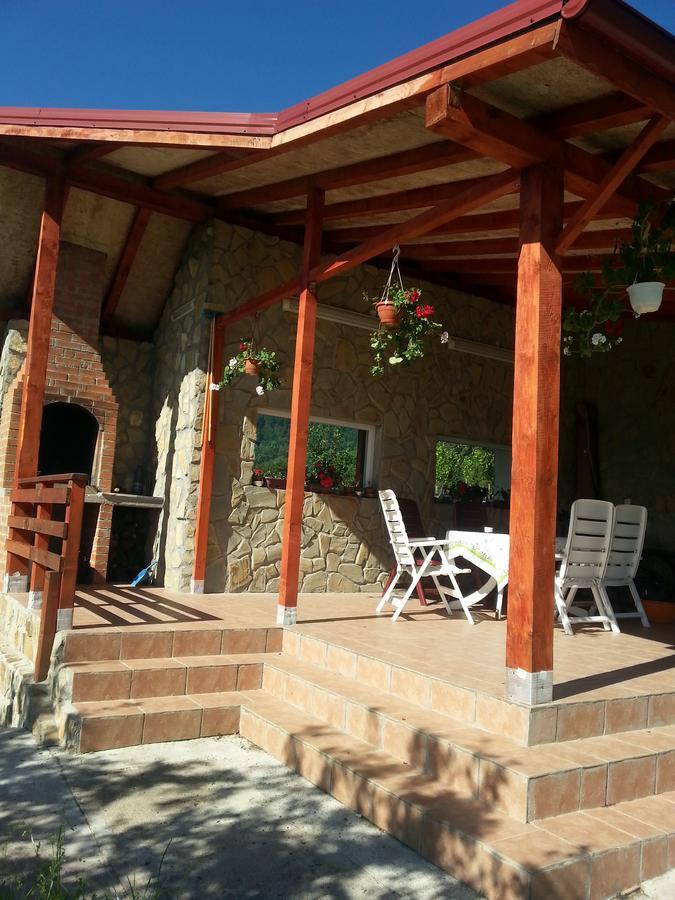 Pensiunea Agroturistica Ioana Bradulet Εξωτερικό φωτογραφία