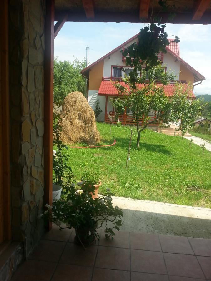 Pensiunea Agroturistica Ioana Bradulet Εξωτερικό φωτογραφία