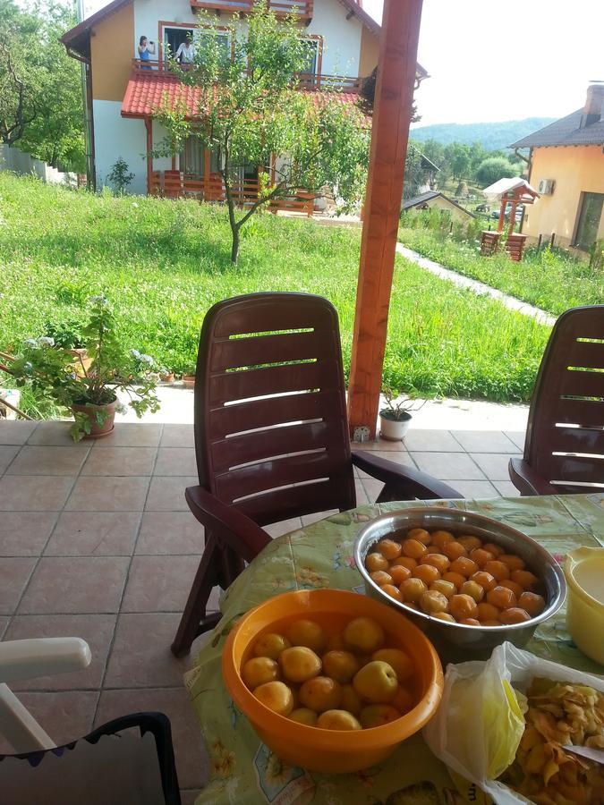 Pensiunea Agroturistica Ioana Bradulet Εξωτερικό φωτογραφία